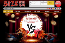 Nhà cái S128 sân chơi đá gà trực tuyến uy tín chất lượng hàng đầu Việt Nam